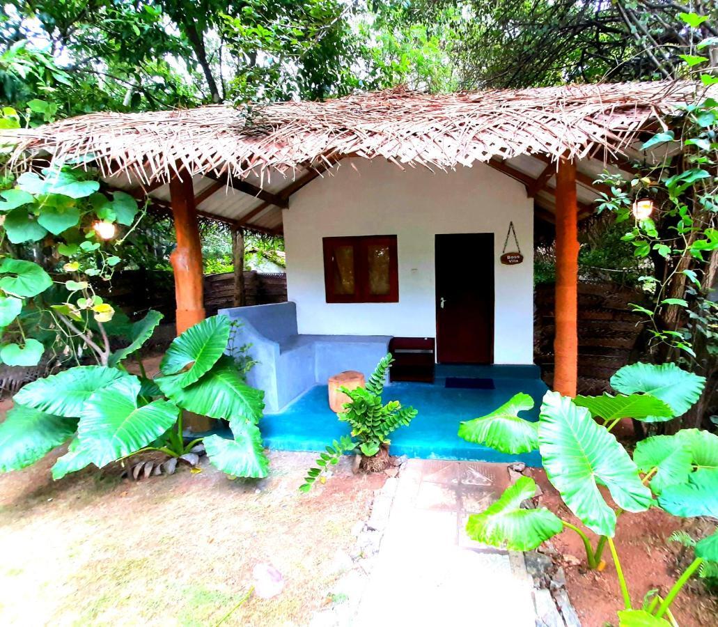 Priya Homestay Kandalama Dambulla Εξωτερικό φωτογραφία